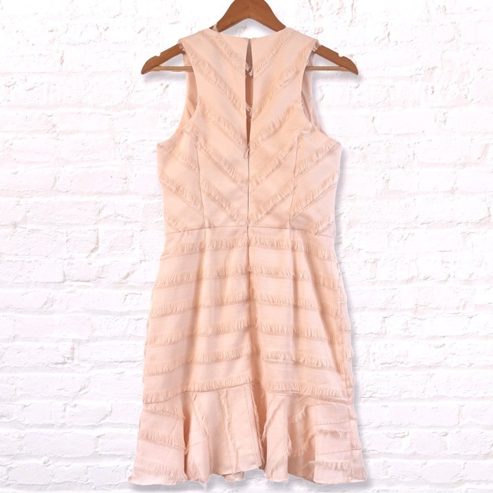 Adelyne Rae Blush PInk Eyelesh Fringe Mini Dress with Flounced Skirt Medium - Picture 3 of 9